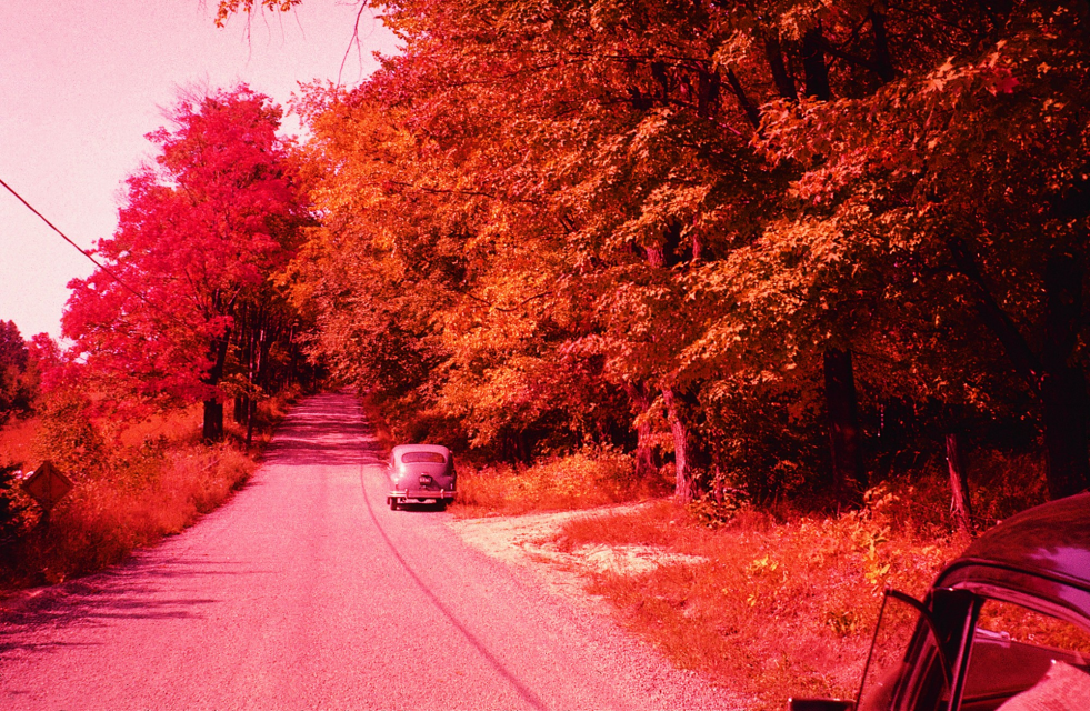 Title: Road Trip, 2004 Photo: Anton Bures   Credit: © Janet Cardiff and George Bures Miller, courtesy of the artists, Fraenkel Gallery, San Francisco, and Luhring Augustine, New York