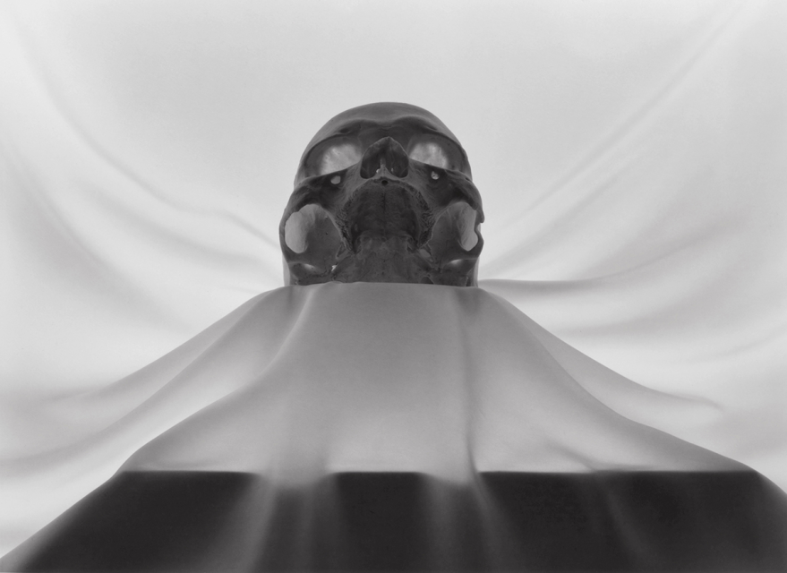Lynn Stern, “Skull #45”, 1991 / 1991-1998, gelatin silver print, image size: 16 5/8 x 22 7/8 inches, paper size: 20 x 24 inches © Lynn Stern