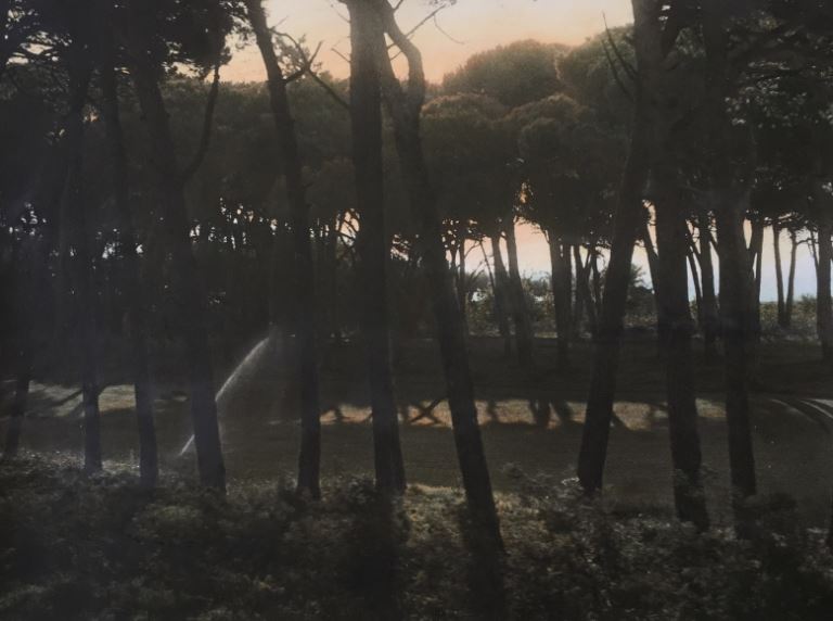 Ann Rhoney, South of France, 1977, painted 2018, Gelatin silver print applied oil paint
