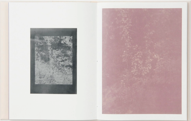 Images from "Interlude" book by Datz Press - Images courtesy of Alyssa Minahan.