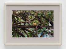 Pasajes - Casemore Gallery