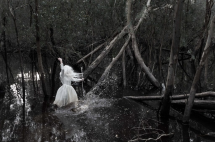 Whose Paradise? - THIS IS NO FANTASY