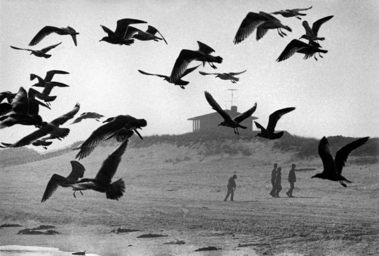 René Burri, Amagansett, Long Island, New York, 1966