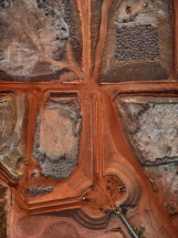 Natural Commodities - Howard Greenberg Gallery