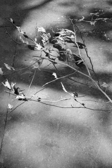 Image of "Republic" book by Chose Commune. Images courtesy of Bérangère Fromont.