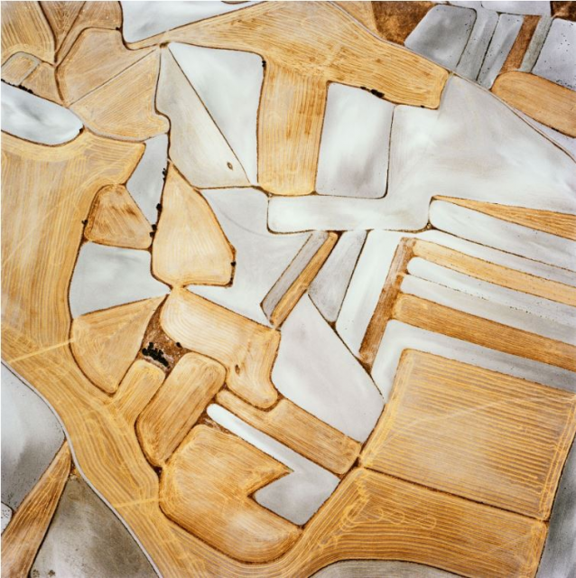 David Maisel, The Fall (Borox 2), 2014, Archival pigment print, 48 x 48 inches