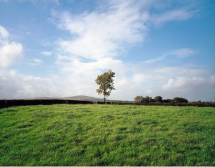Paul Graham -Troubled Land - Huxley-Parlour