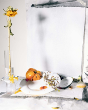 A Place, One of All Things - UP Gallery