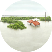 Yang Shun-Fa, Taiwan, of Land and Sea - Lavoir Numérique