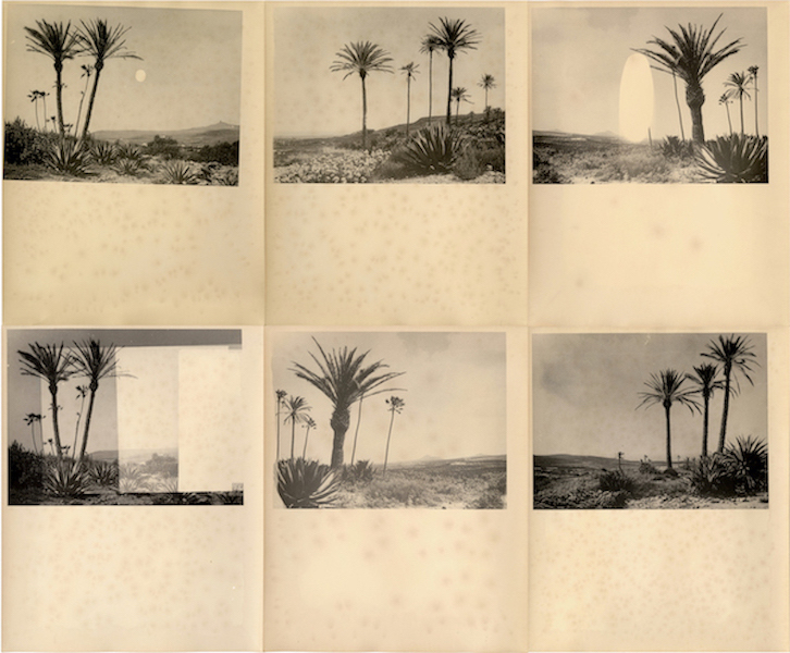 Bruno V. Roels - Pasar Una Temporada, 2025 - Courtesy of the artist and Gallery Fifty One.