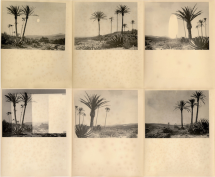 ARTIFICIAL PARADISE - Gallery Fifty One Too