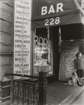 Show & Tell: A Brief History of Photography and Text - NOMA - New Orleans Museum of Art