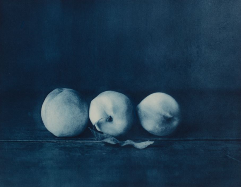 John Dugdale, Three White Peaches, n.d. Photogravure, edition 52 of 150. SBMA, Gift of Arthur B. Steinman.