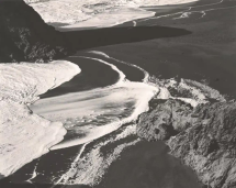 Edward Weston. The Matter of Shapes - Fundacion MAPFRE_Barcelona
