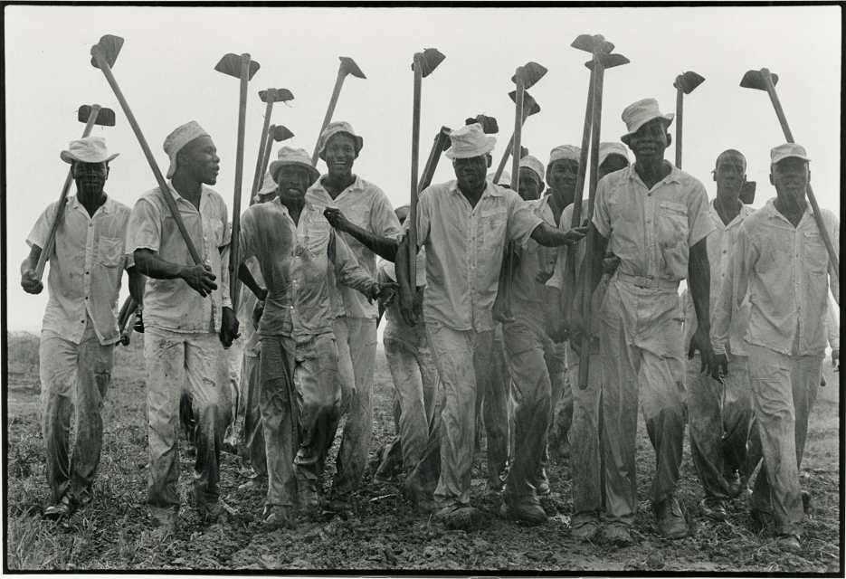 Danny Lyon, Ramsey Unit, Hoe squad, 1968 Gelatin silver print; printed 2005 - Courtesy of the artist and Howard Greenberg Gallery.