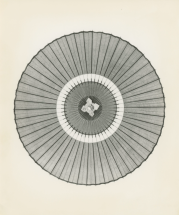 Katachi/ Form - THE THIRD GALLERY AYA