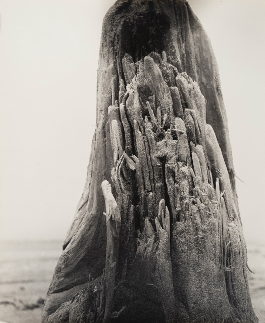 Keiichiro Goto “Monument” 1948, Vintage gelatin silver print, 30.3×25.2cm ©Estate of Keiichiro Goto, courtesy of MEM, Tokyo