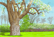David Hockney 25 - Fondation Louis Vuitton
