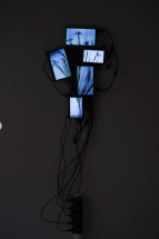 La vida secreta de las flores - Rolf Art