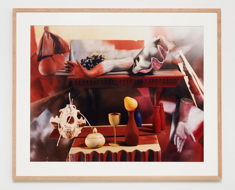 Jan Groover, Untitled, 1989