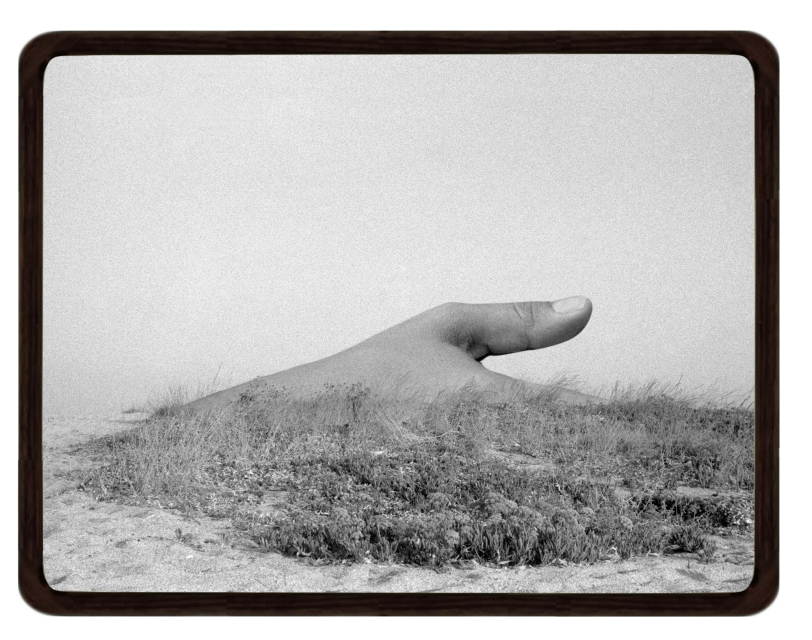 Maria Antelman, Hand, Plow, 2024. - Courtesy of the artist & Yancey Richardson Gallery
