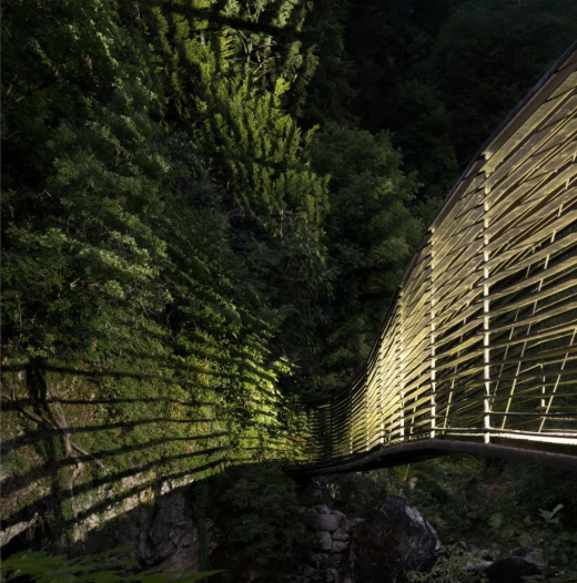 Matthieu Gafsou, "Symbiosis # 1", 2025 - Courtesy of the artist and Gallery C.