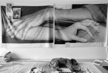 Joanna Piotrowska - A Place to Return - Zander Galerie Paris