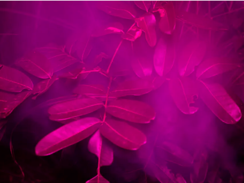 Courtesy of Juliette Agnel and Galerie Clémentine de la Féronnière.