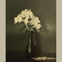 The Light of Still Things - The Peaceful Glow of Things - Galerie Camera Obscura