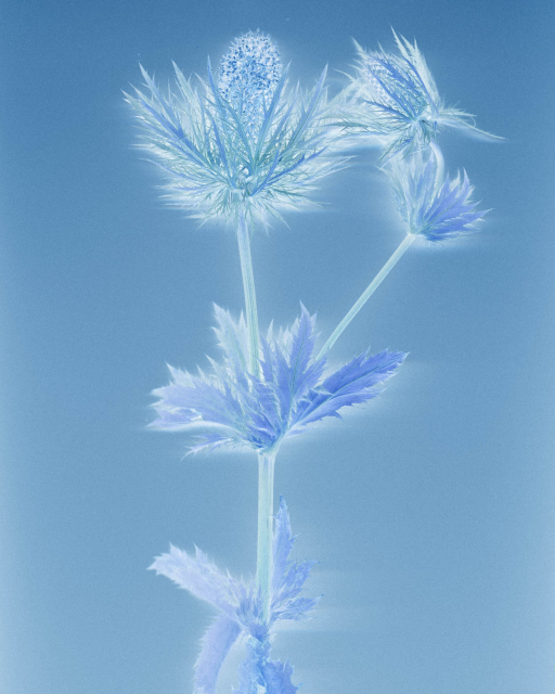 Courtesy of Marine Lanier and Espace Jörg Brockmann.