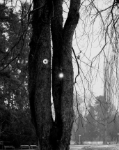Photographs (1978–1985), Christine Furuya-Gössler  – CHOSE COMMUNE - CHOSE COMMUNE