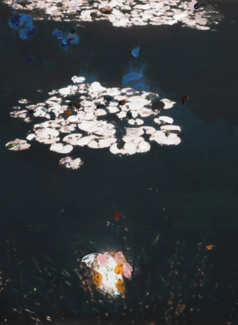 François Halard, Water Lilies, 2024. Courtesy of the artist and Ruttkowski;68.