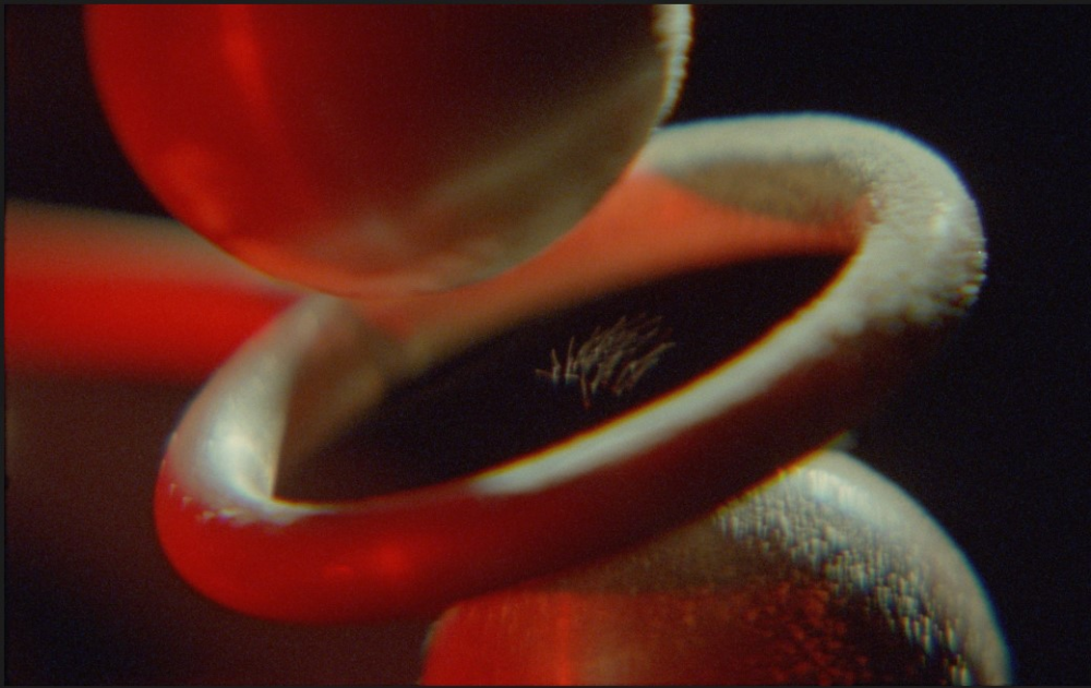 Rosa Barba. &quot;Charge&quot;. 2025. 35mm film (color, sound), 25:33 min. Co-commissioned by The Museum of Modern Art, New York, and The Vega Foundation, Toronto. ©️ Rosa Barba