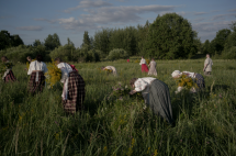 Claudine Doury - Solstice - IN CAMERA