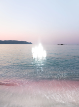 RENATURE - Bildhalle ZURICH