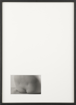 Revelation - IN CAMERA