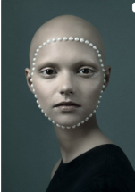 VISION - GALERIE SOPHIE SCHEIDECKER