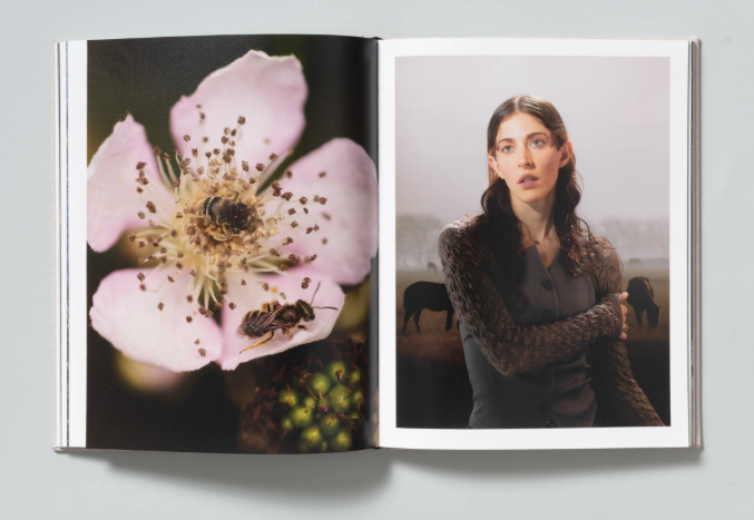 Images of &quot;The Marble&quot; book by TBW BOOKS - Images courtesy of David Brandon Geeting.