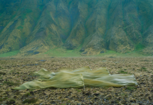 Phantasma - PERSONS PROJECTS