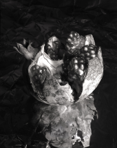 Pomegranate - PGI