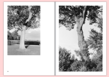 Mirror of the place - FILIGRANES EDITIONS