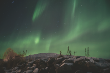 CONFINES: FROM ANTARCTICA TO THE ARCTIC - Rolf Art