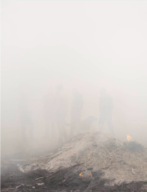 Pierre Liebaert, Metanoia, 2024 – Courtesy of the artist and Archiraar Gallery.