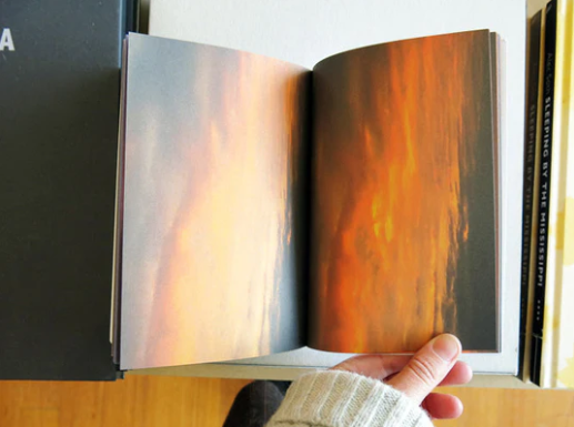 Images of "A Wild Thing" book by Art Paper Editions. Images courtesy of Hilde Bouchez.