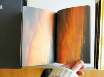 A Wild Thing - Art Paper Editions
