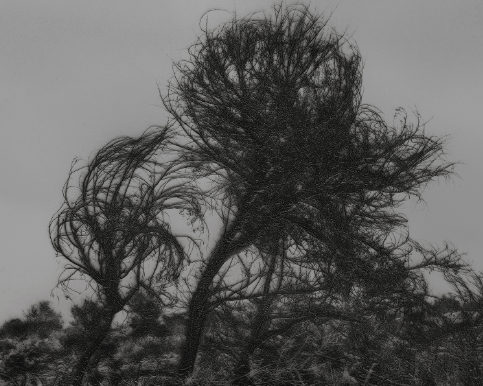 Laurent Lafolie, #04.9, série .BLANK, 2025 - Courtesy of the artist and Galerie Binome.