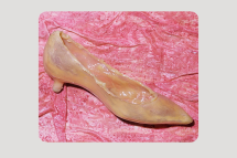 Sole Parts - Equinox Gallery