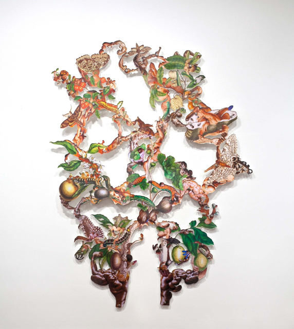 Dominique Paul Insectes 34, 2019