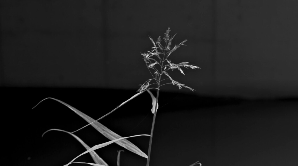 © Yann Mingard
