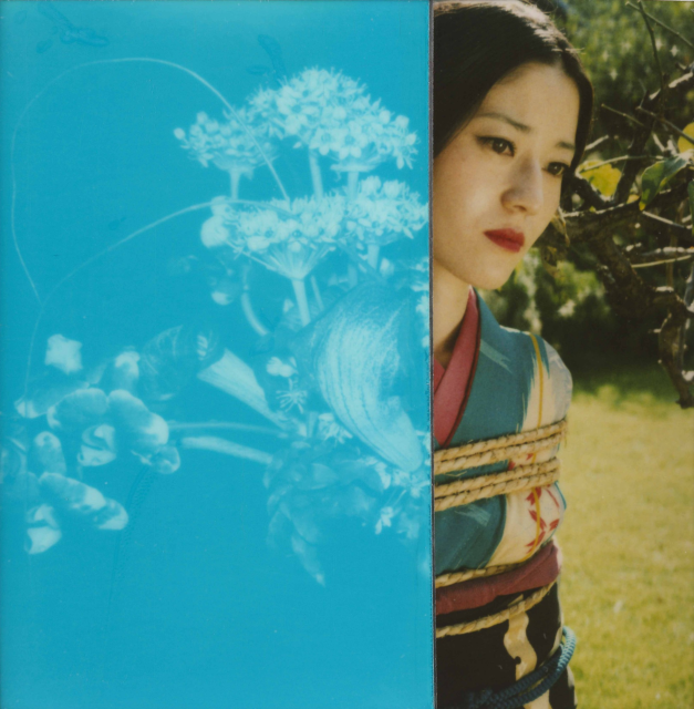 Sans titre, Araki Nobuyoshi 1990 -2024 © Nobuyoshi Araki © Musée Guimet, Paris  Nicolas Fussler, photographe